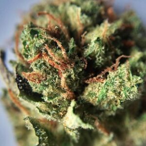 Buy Sour Tangie Marijuana Online